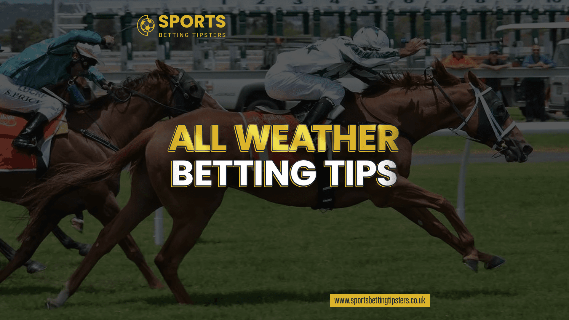 All Weather Horse Racing Betting Tips