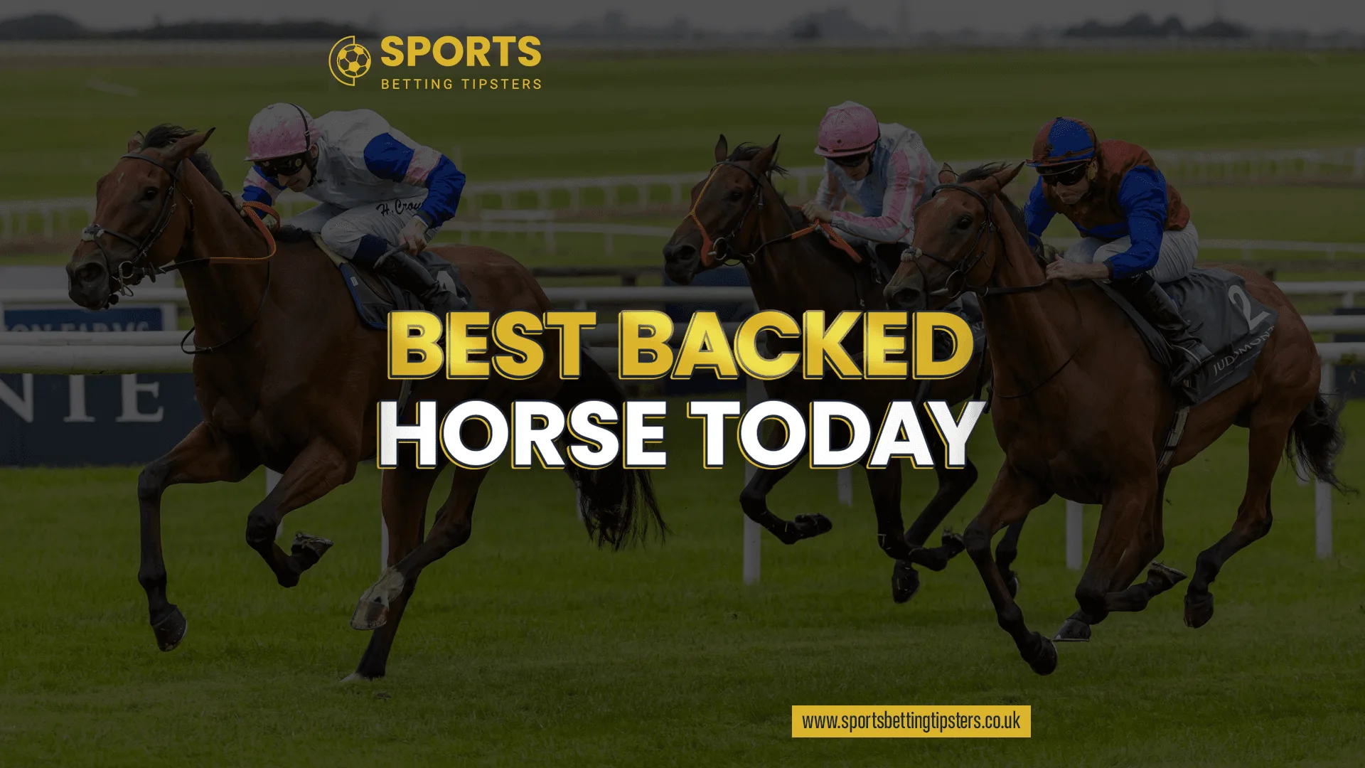 Best Backed Horses
