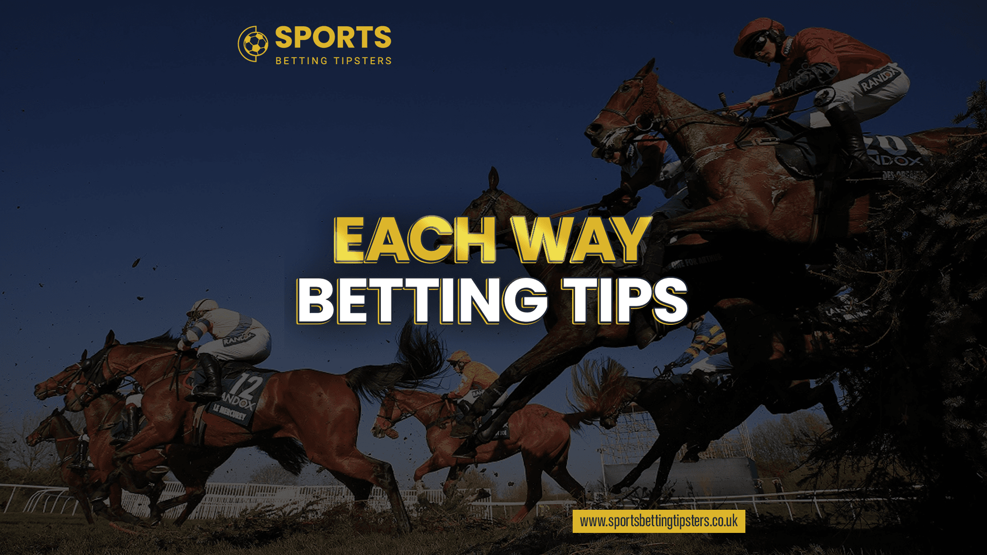 Each Way Horse Racing Betting Tips