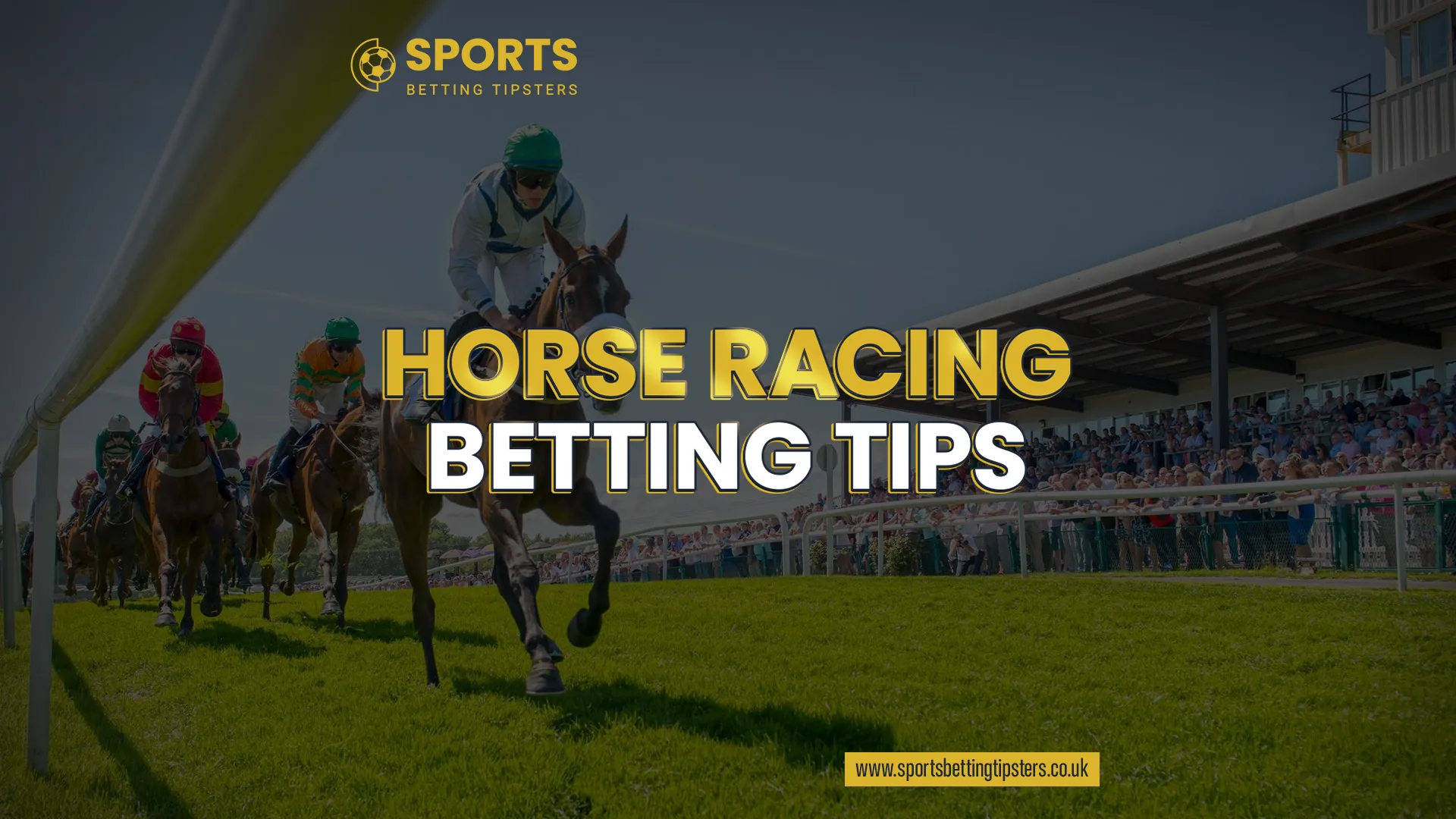 Horse Racing Betting Tips
