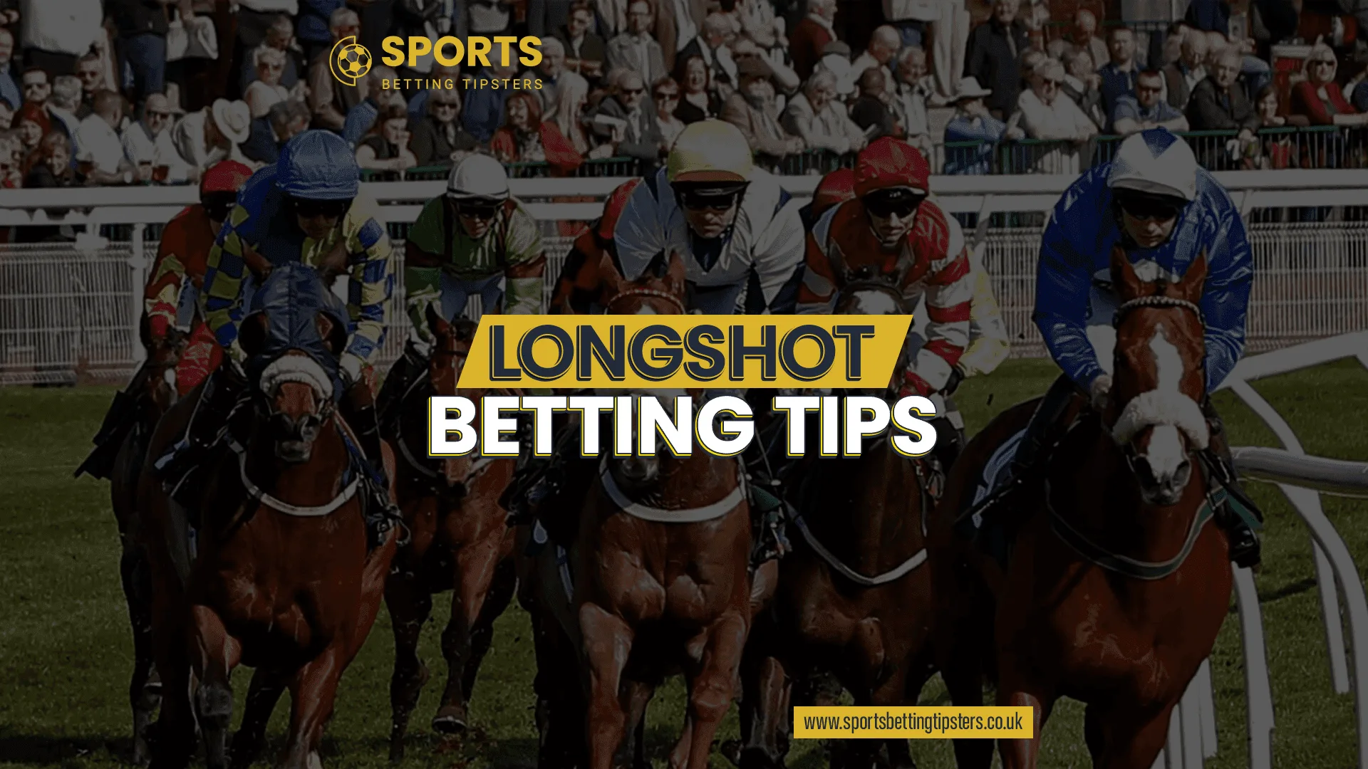 Longshot Horse Racing Tips