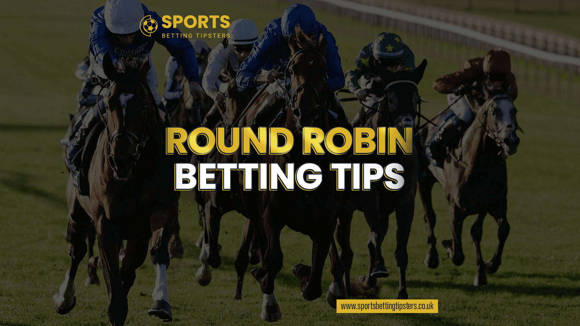 Round Robin Horse Racing Betting Tips