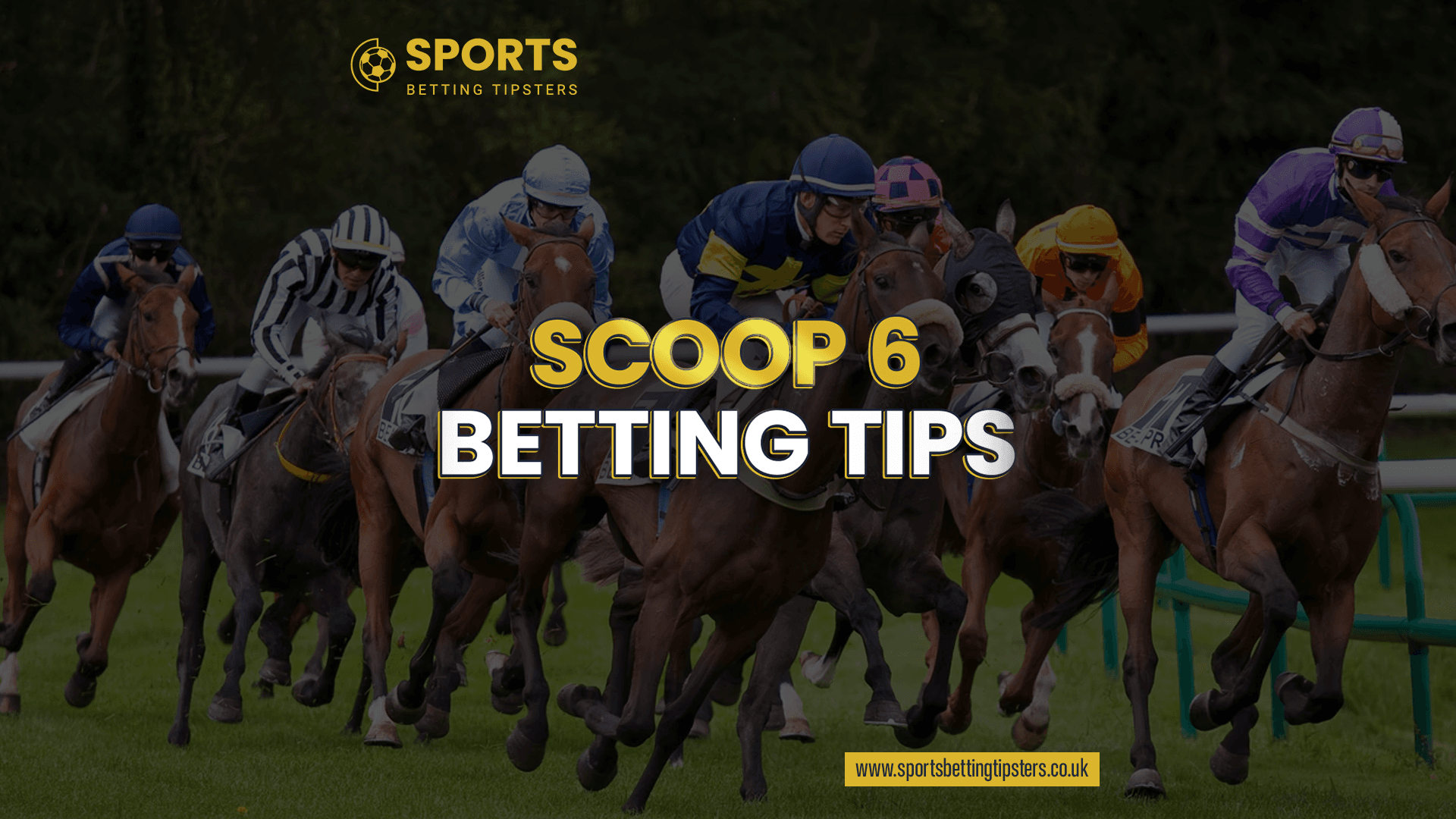 Scoop 6 Horse Racing Betting Tips