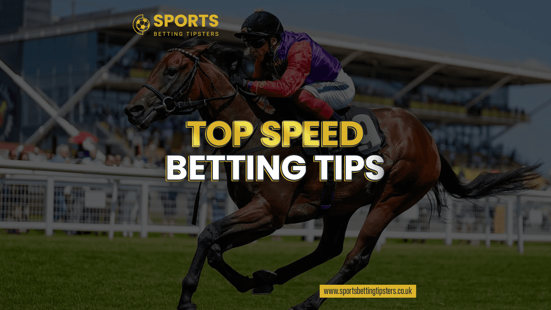 Top Speed Horse Racing Betting Tips